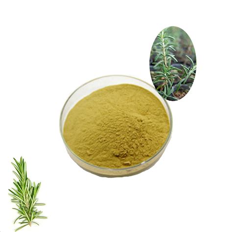 uses for rosemary powder